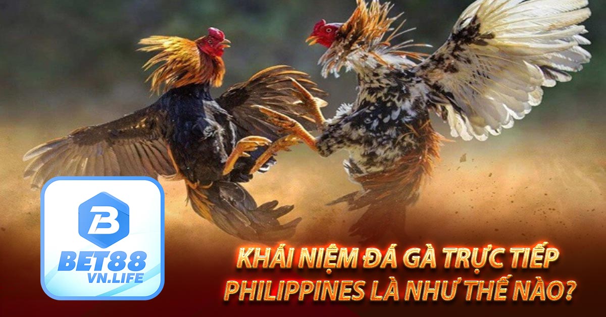 Khái niệm đá gà trực tiếp philippines là như thế nào?