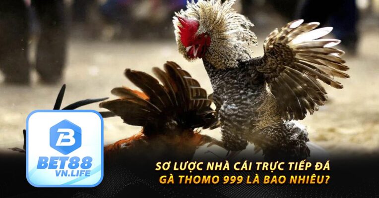 Sơ lược nhà cái trực tiếp đá gà Thomo 999 là bao nhiêu?